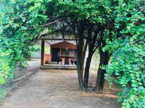 Green eco lodge yala